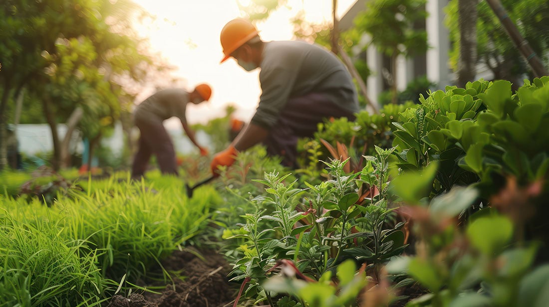 landscaping service