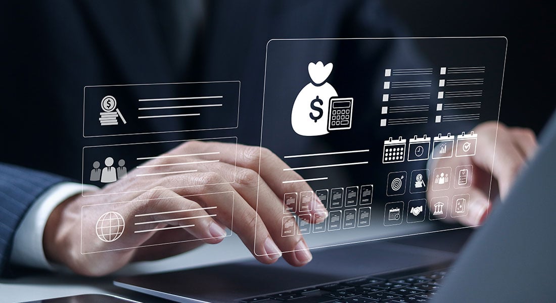 online payment portal user