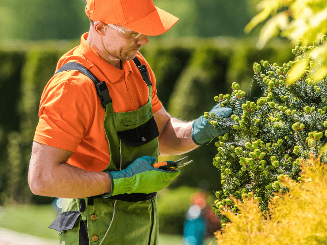 Merchant Services as Growth Lever: Strengthen Commercial Relationships and Grow Your Portfolio