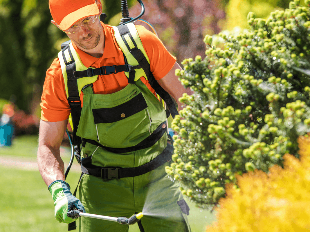 commercial lawn care service