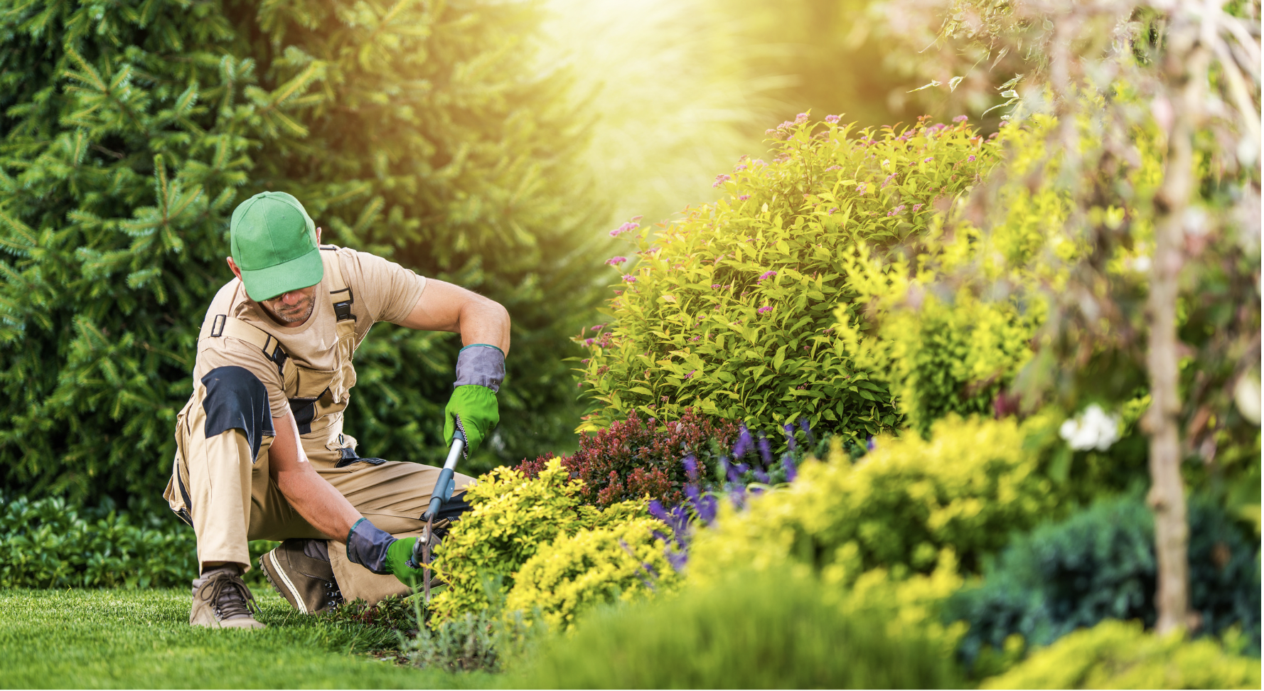 How Landscaping ISVs Can Leverage Payment Solutions to Stay Competitive