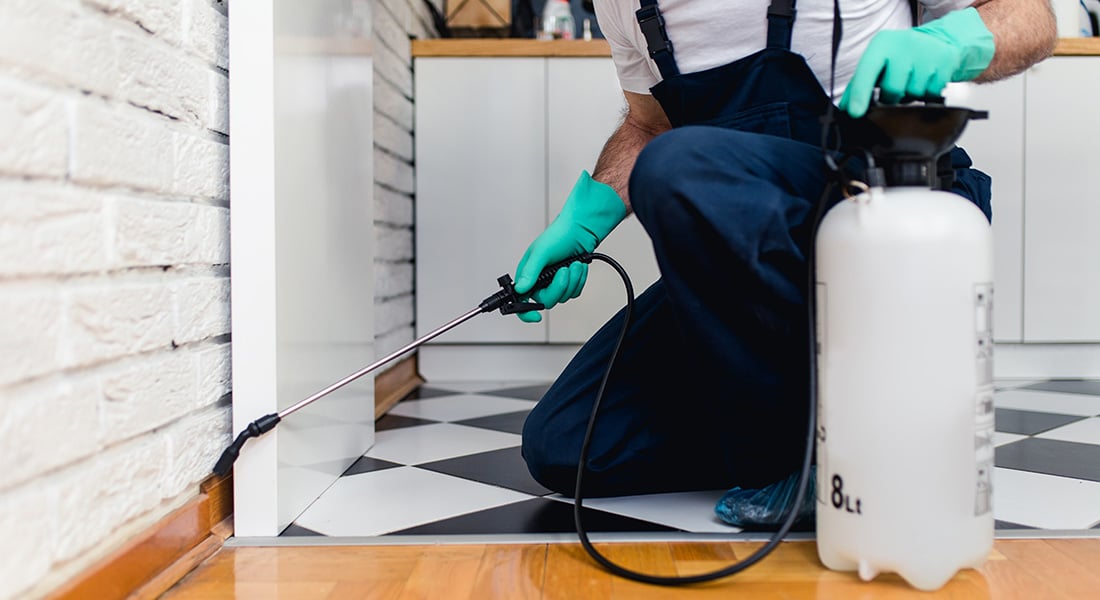 Why Pest-Control Platforms Are Rethinking Payments
